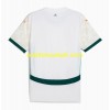 Maillot de Foot Côte d Ivoire Extérieur 2025